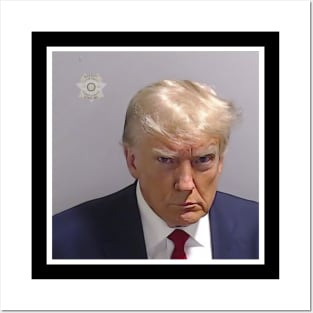 Trump Mugshot Original Posters and Art